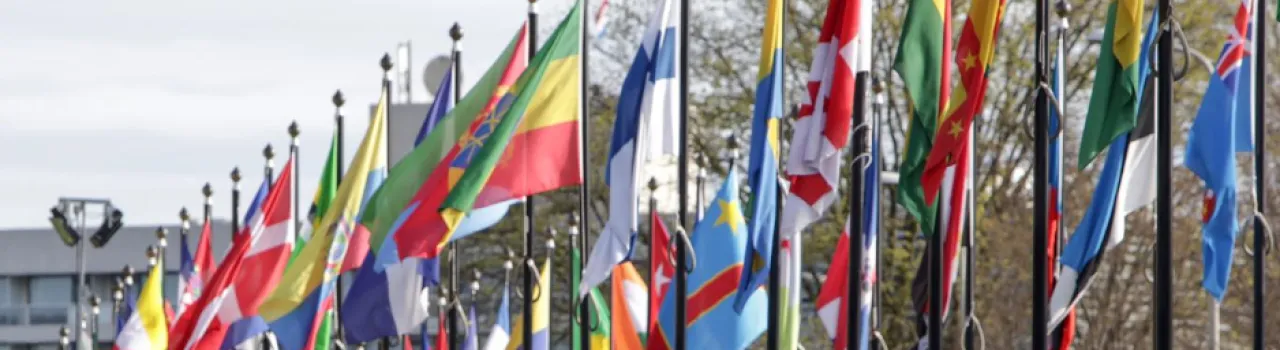 Vlaggenmasten met internationale vlaggen